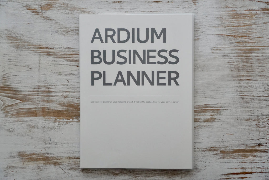 Business Planner — 3-Month Action Planner