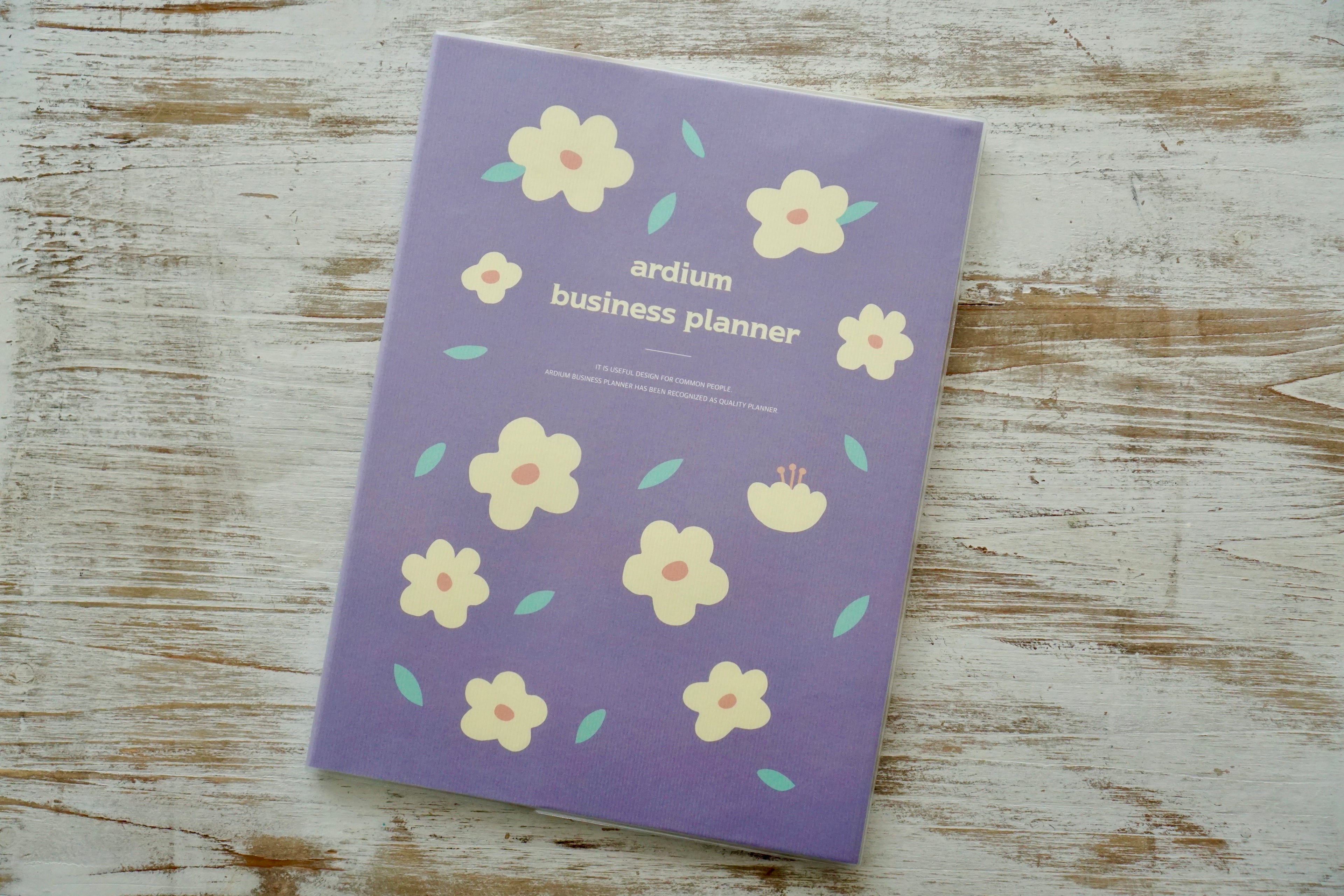 Business Planner — 3-Month Action Planner