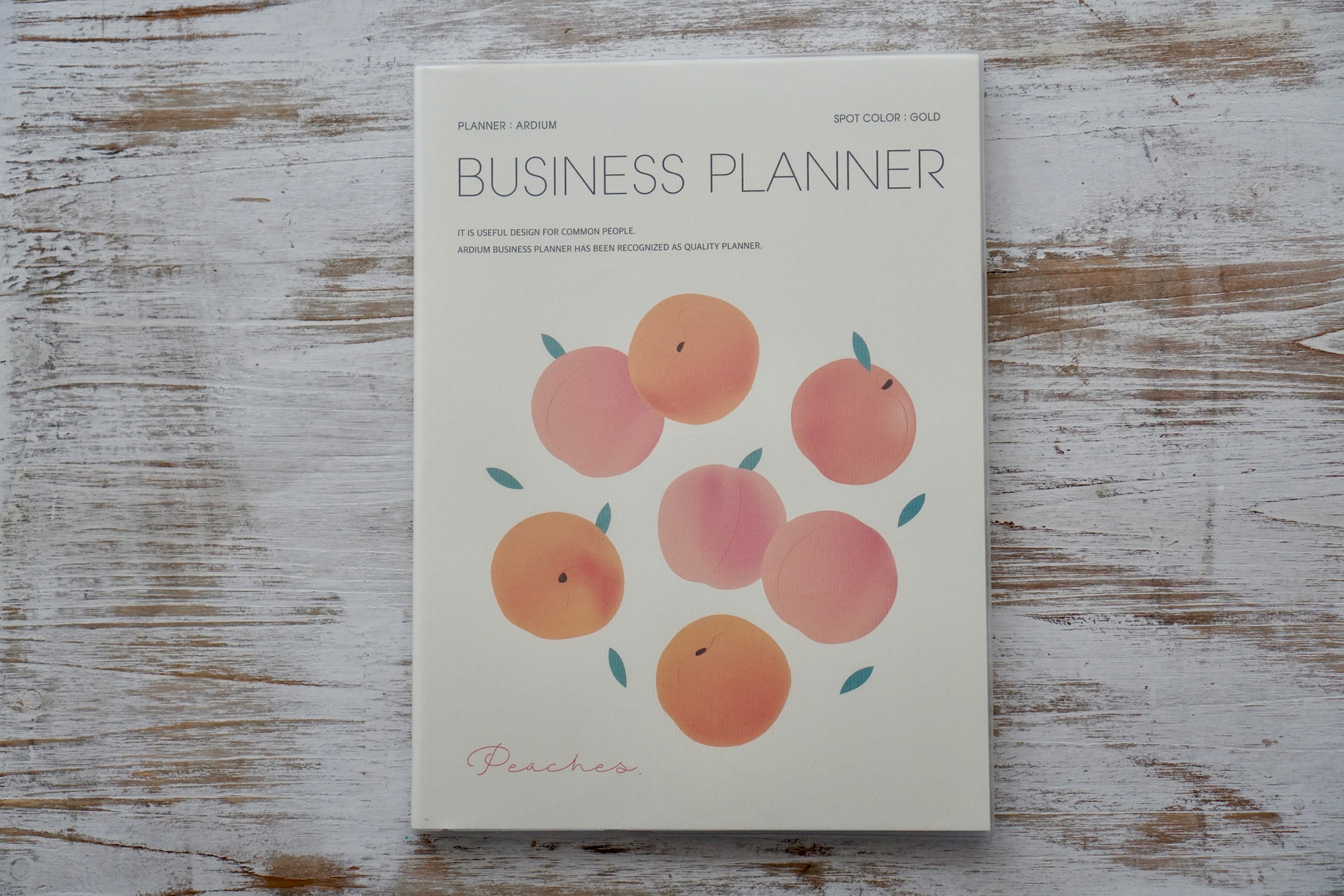 Business Planner — 3-Month Action Planner